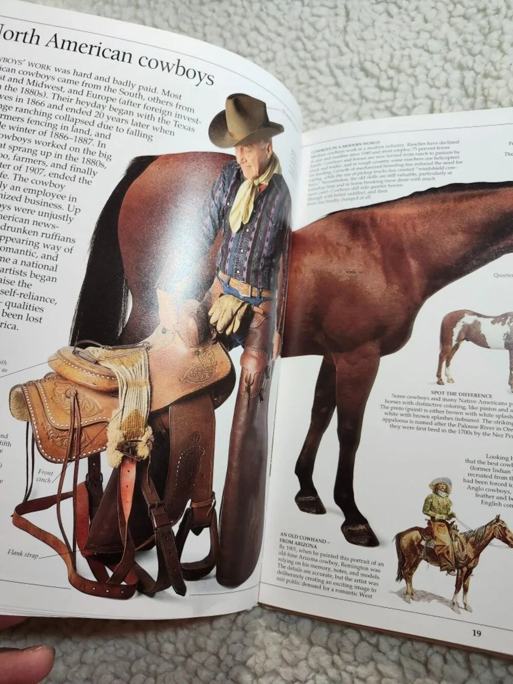 Eyewitness Books Cowboy David H Murdoch Hardcover Illustrated Juvenile DK - Picture 9 of 16